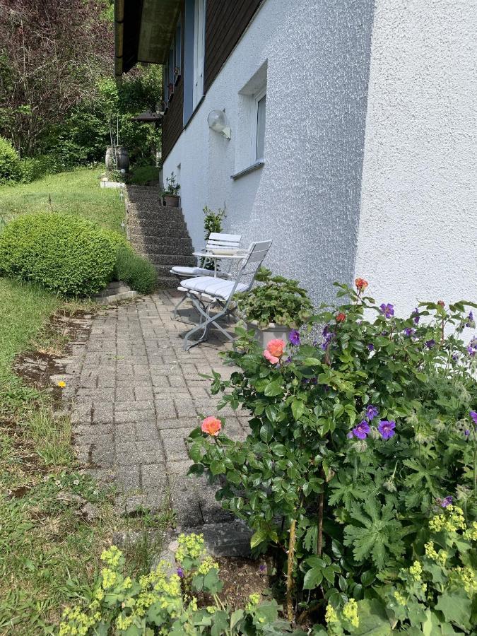 Ferienhaus Rotzinger Хинтерцартен Экстерьер фото